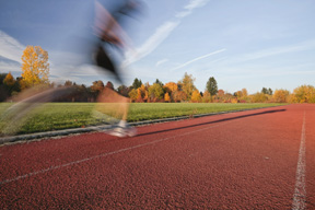 shutterstock 18786688
